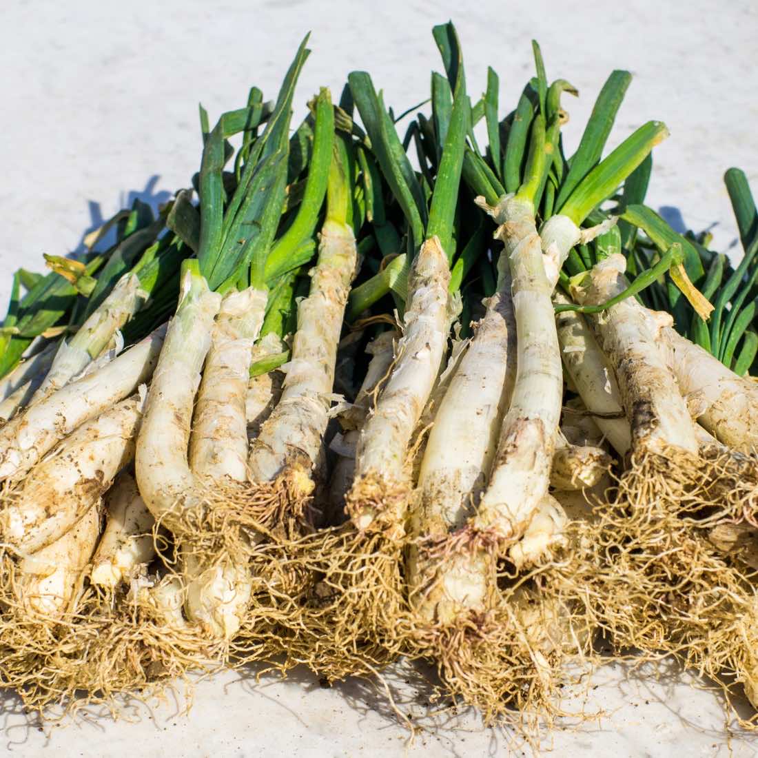 Caja de 72 calçots